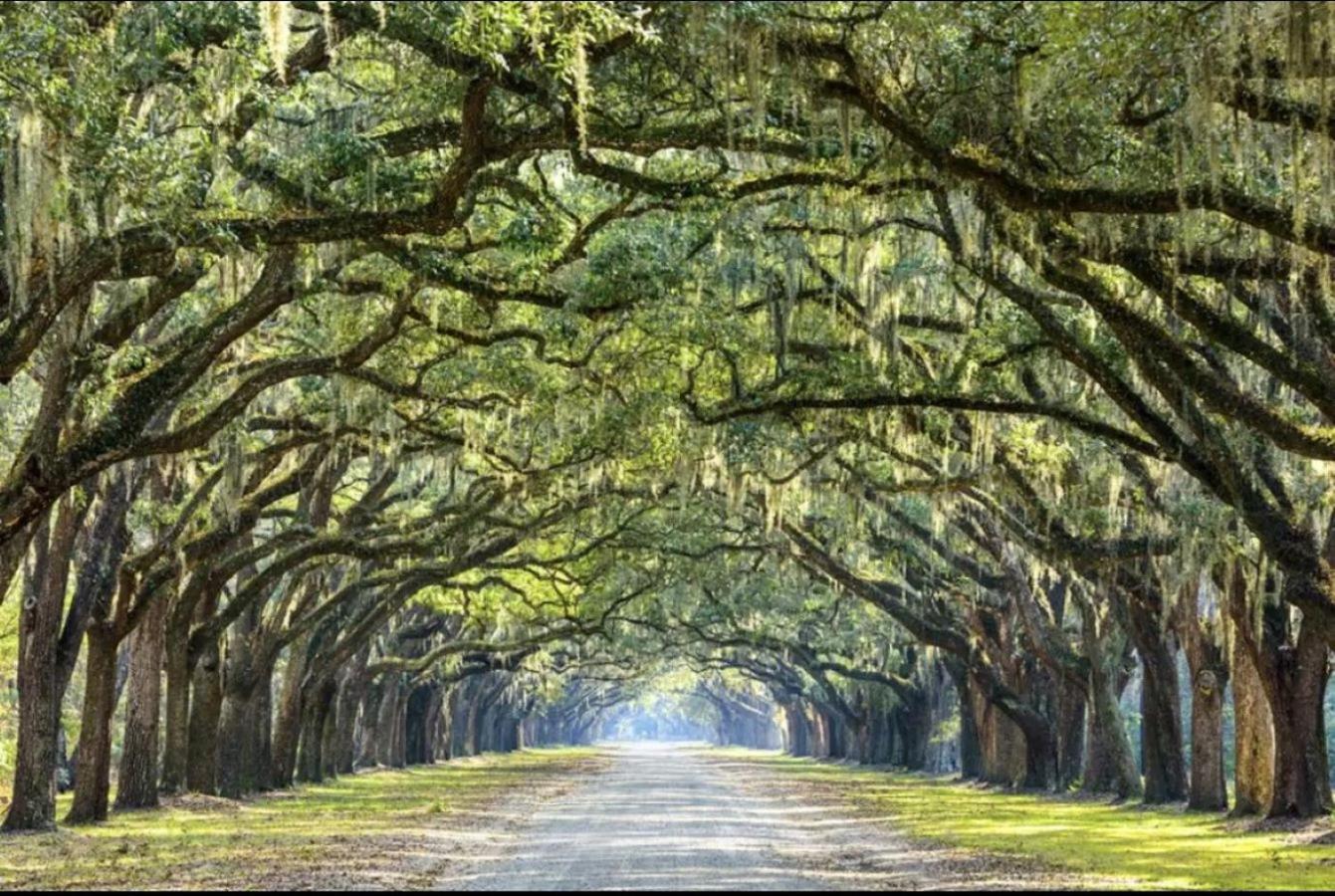 5Min To River Street, Dt - Spacious - Free Parking Savannah Buitenkant foto